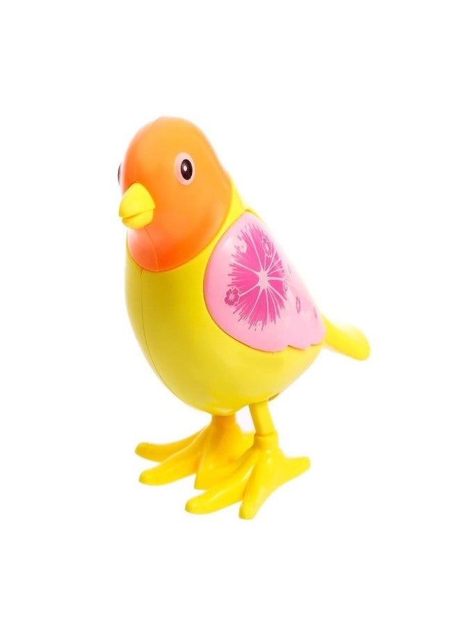 Quasar Wind Up Cute Colorful Bird Toy Pull Back Toy Key Operated Mobilization Vehicle Playsets Fantastic Birthday Gifts Little Kids Picnic Playing Your Children (Pack of 1) - Multicolor - Image 1